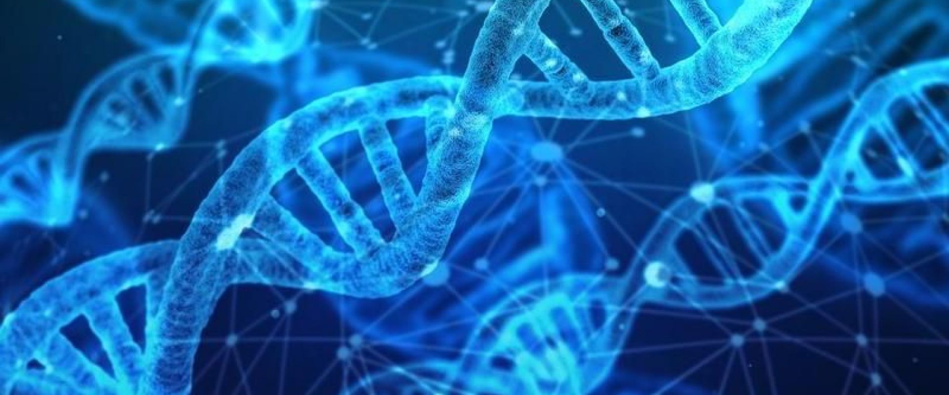 dna-cbf4b1ba